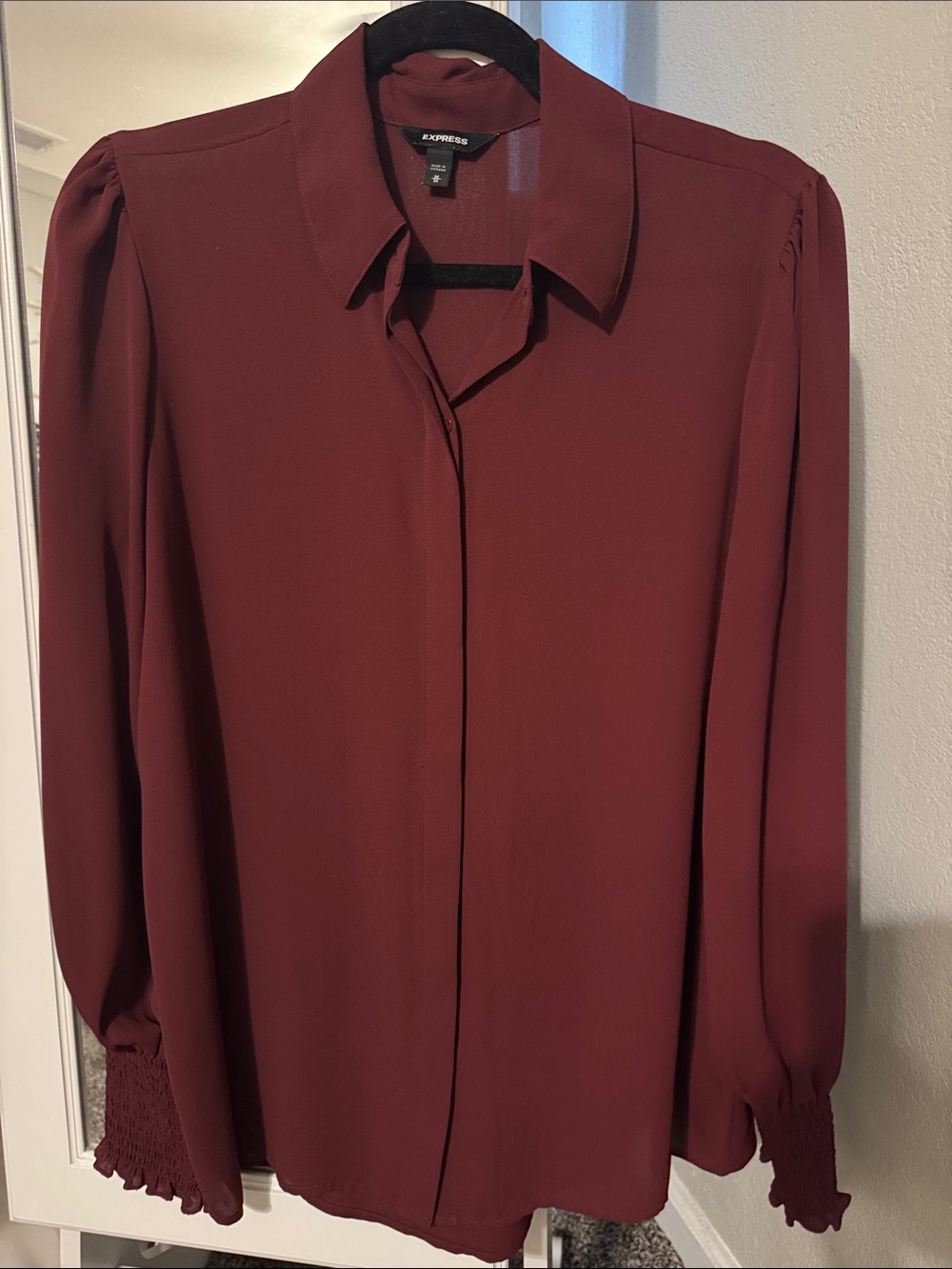 Express Women's Button-Down Blouse in Deep Wine